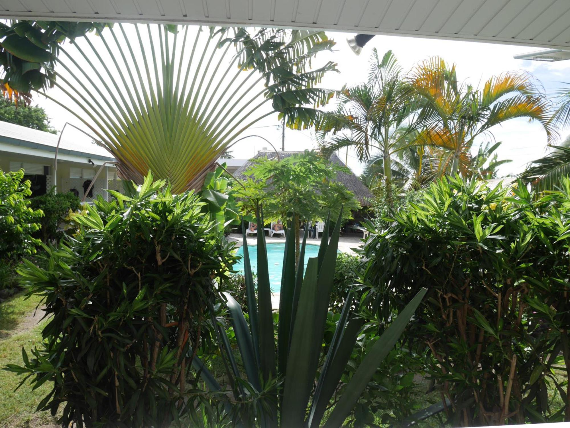 Pension De La Plage Punaauia  Room photo
